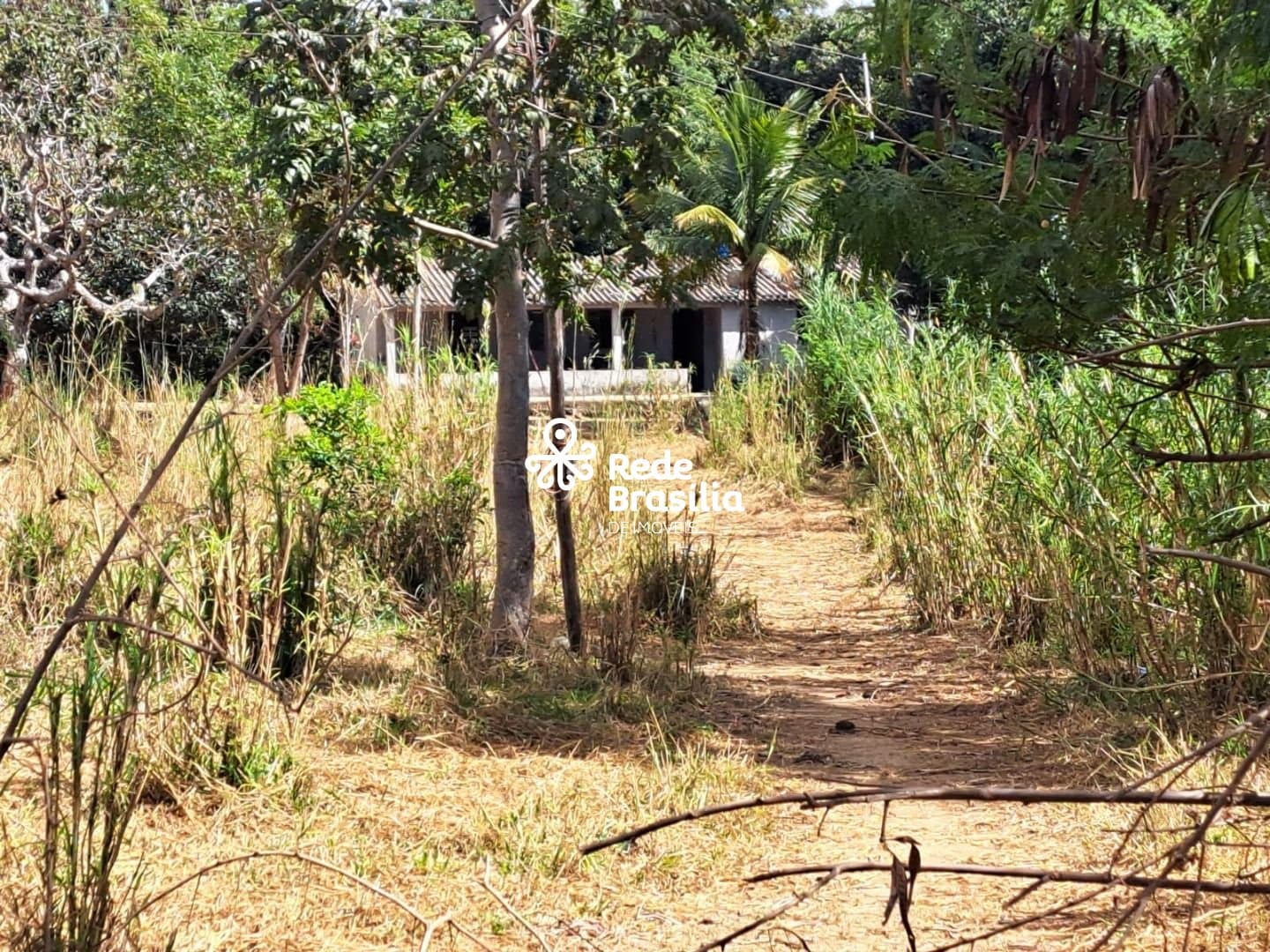 Imagem da propriedade DI717 6
