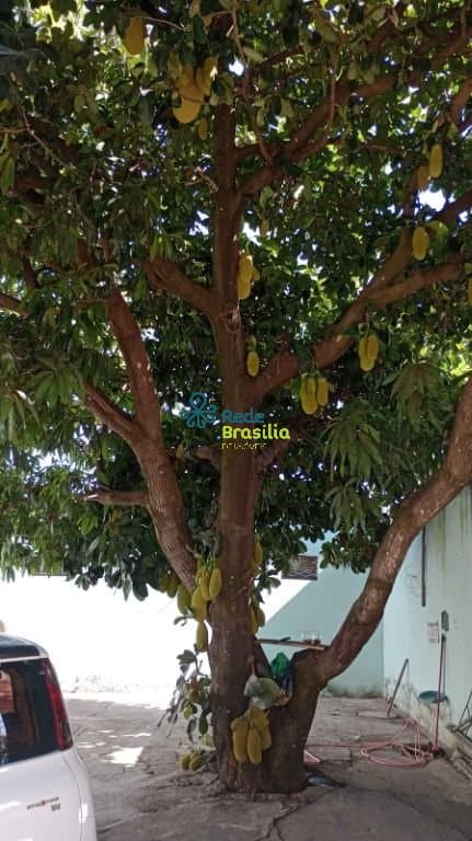 Imagem da propriedade CO7387 3