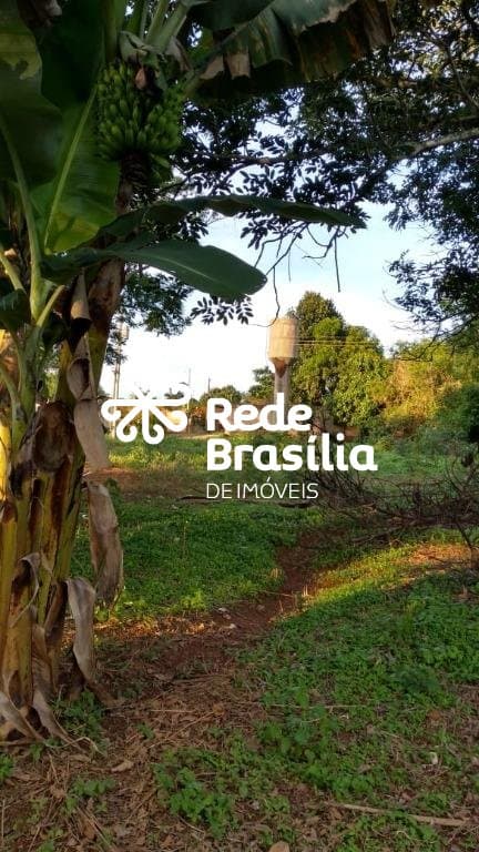 Imagem da propriedade TH13183 7