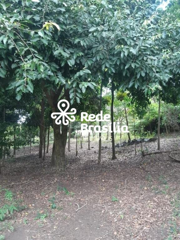 Imagem da propriedade TH29352 14