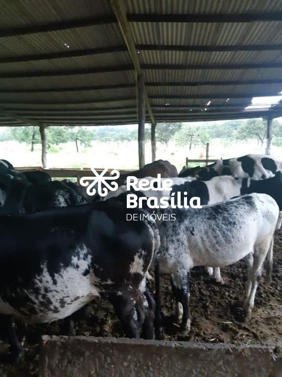 Imagem da propriedade TH29352 17